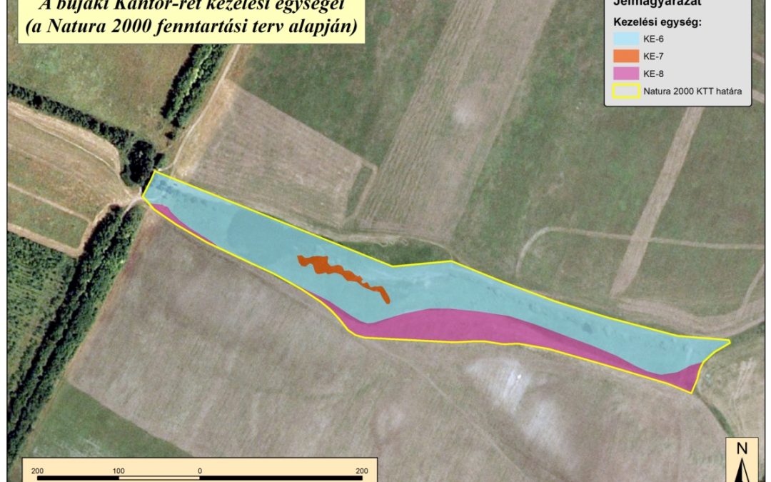 Restoration and maintenance of the Kántor meadow in Buják – model project